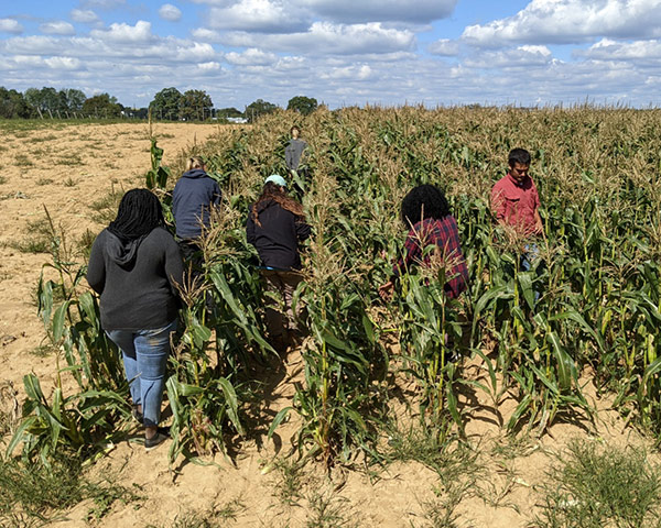 University of Delaware team in a cornfield