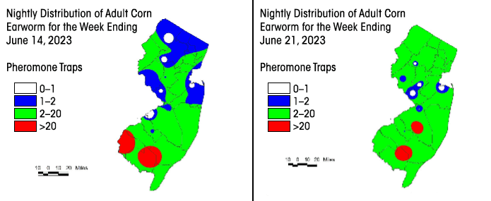 Geospatial representations from the New Jersey statewide CEW pheromone trap network